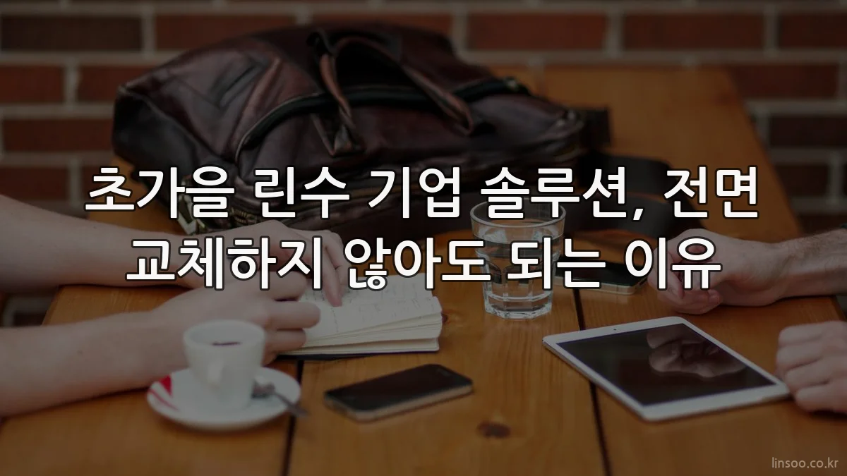 초가을 린수 기업 솔루션, 전면 교체하지 않아도 되는 이유
