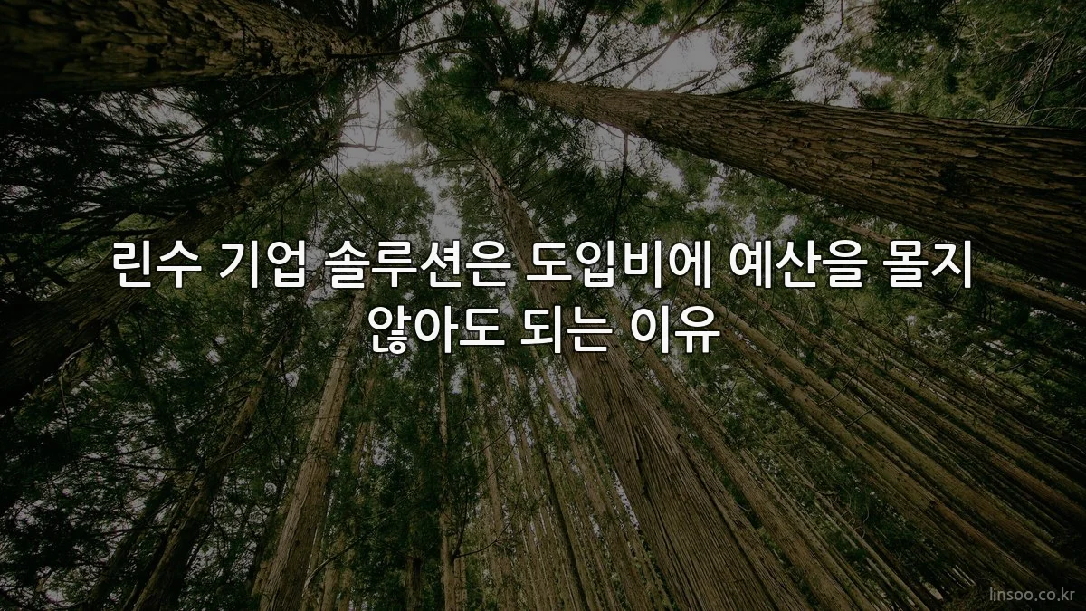 린수 기업 솔루션은 도입비에 예산을 몰지 않아도 되는 이유