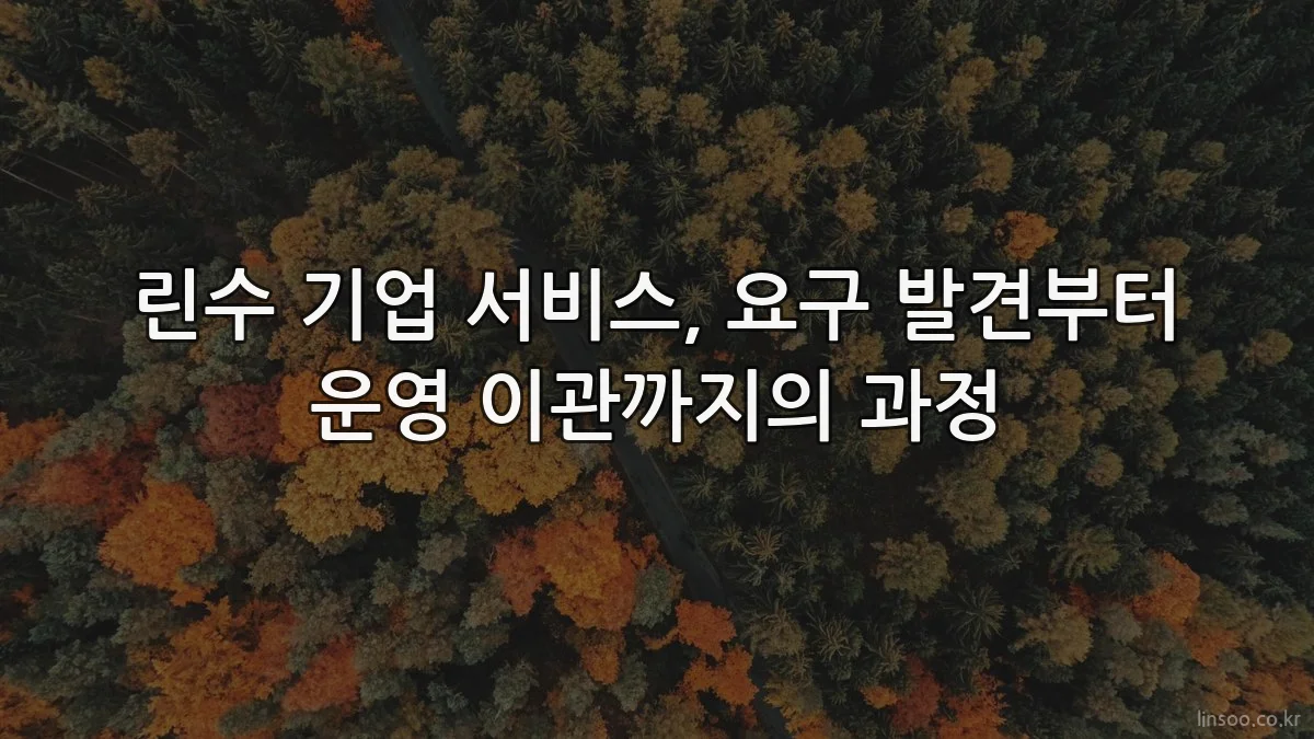 린수 기업 서비스, 요구 발견부터 운영 이관까지의 과정