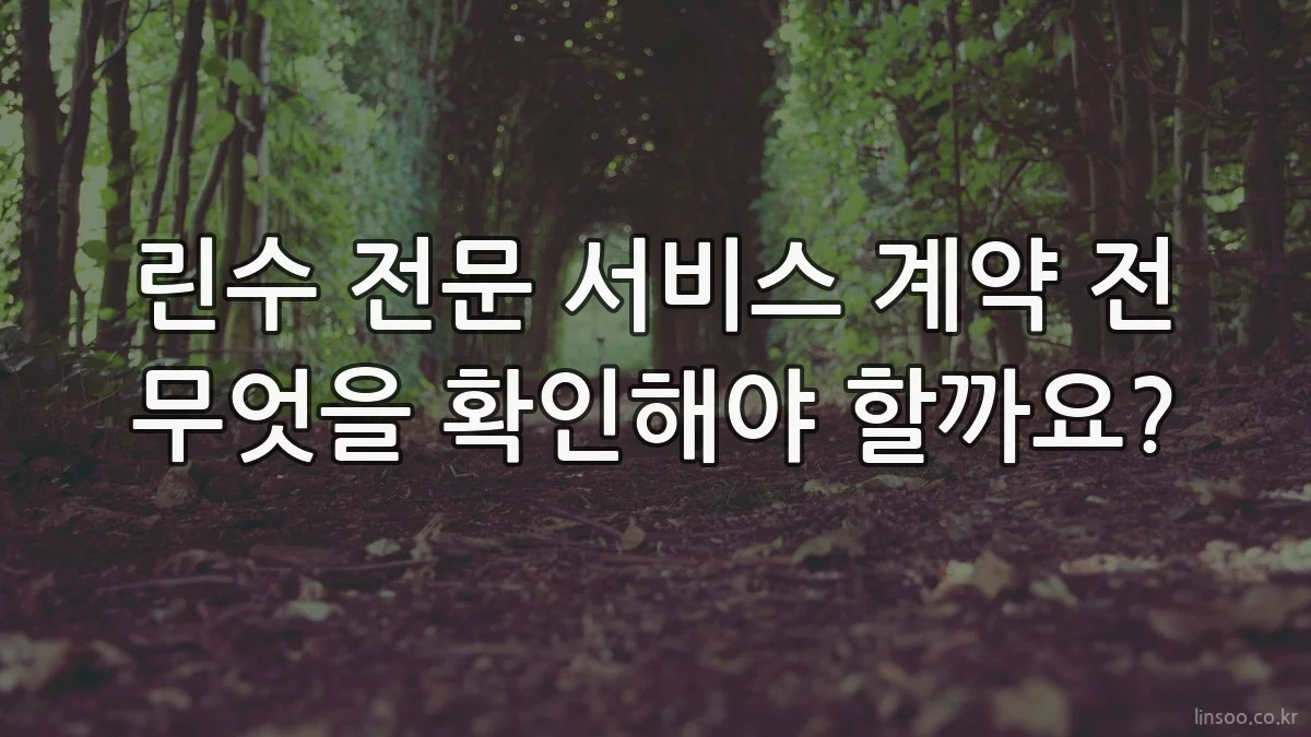 린수 전문 서비스 계약 전 무엇을 확인해야 할까요?