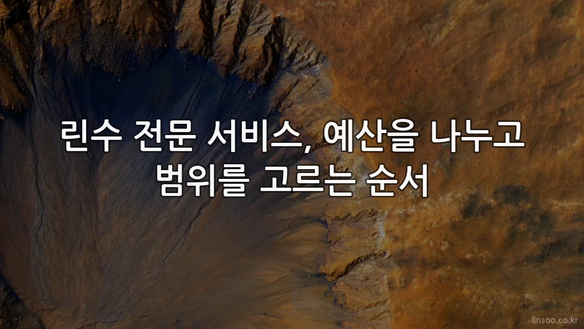 린수 전문 서비스, 예산을 나누고 범위를 고르는 순서