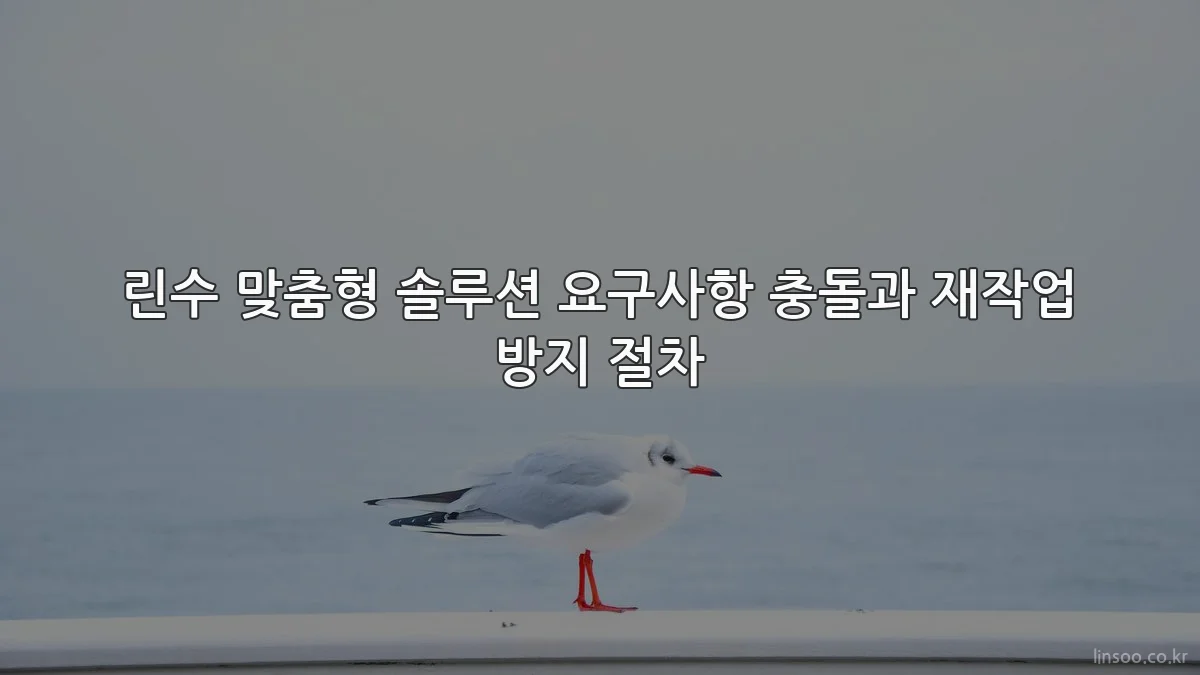 린수 맞춤형 솔루션 요구사항 충돌과 재작업 방지 절차