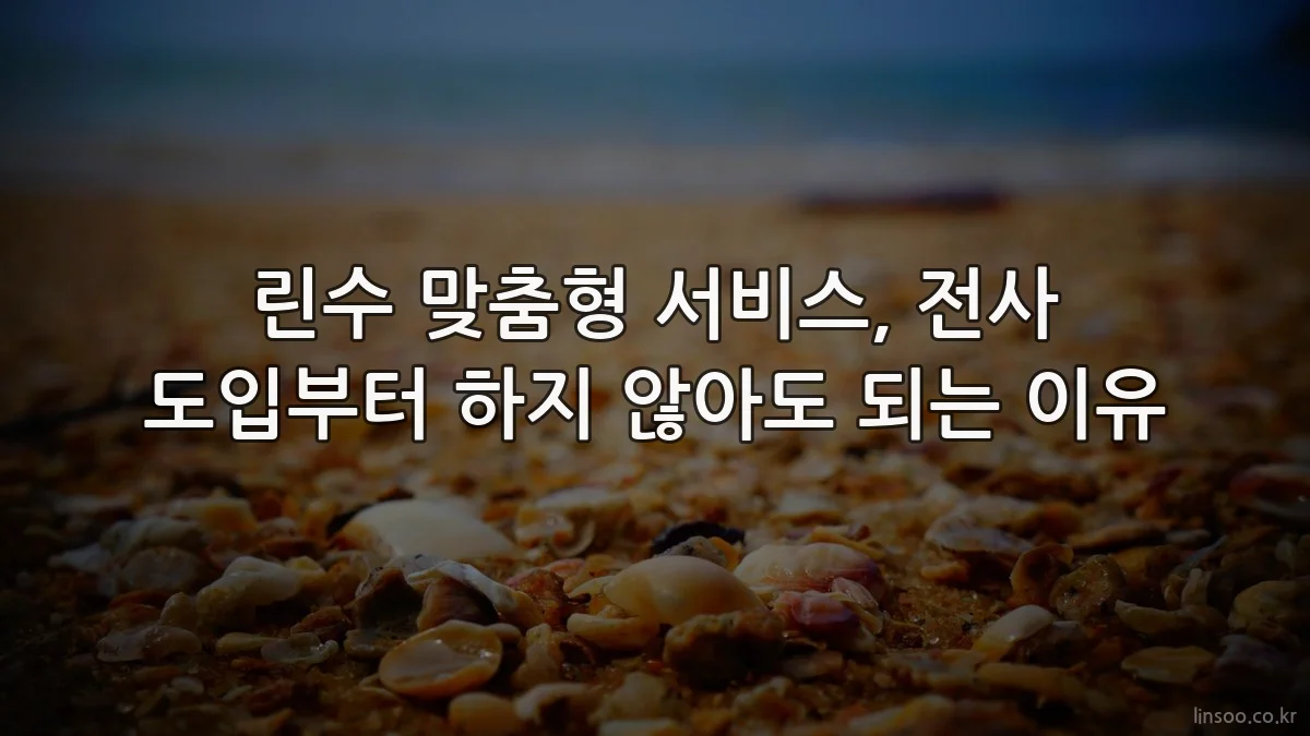 린수 맞춤형 서비스, 전사 도입부터 하지 않아도 되는 이유