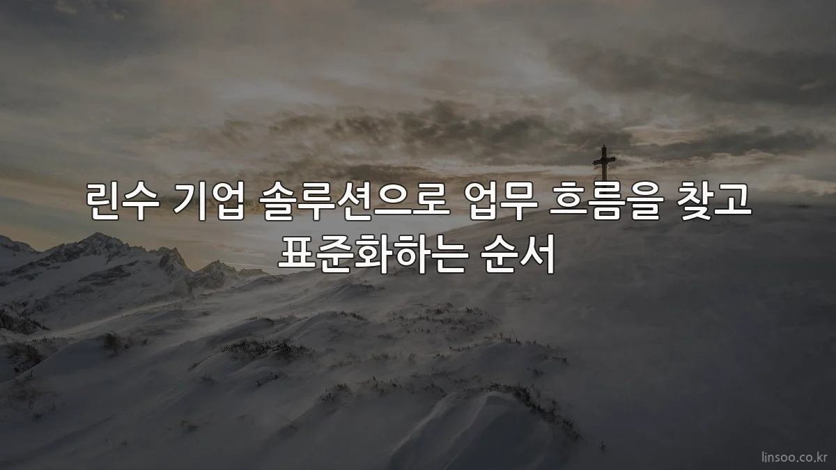 린수 기업 솔루션으로 업무 흐름을 찾고 표준화하는 순서