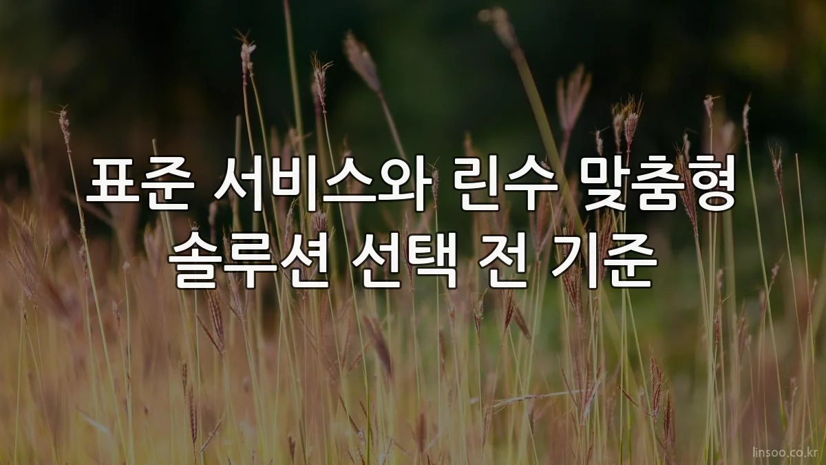 표준 서비스와 린수 맞춤형 솔루션 선택 전 기준