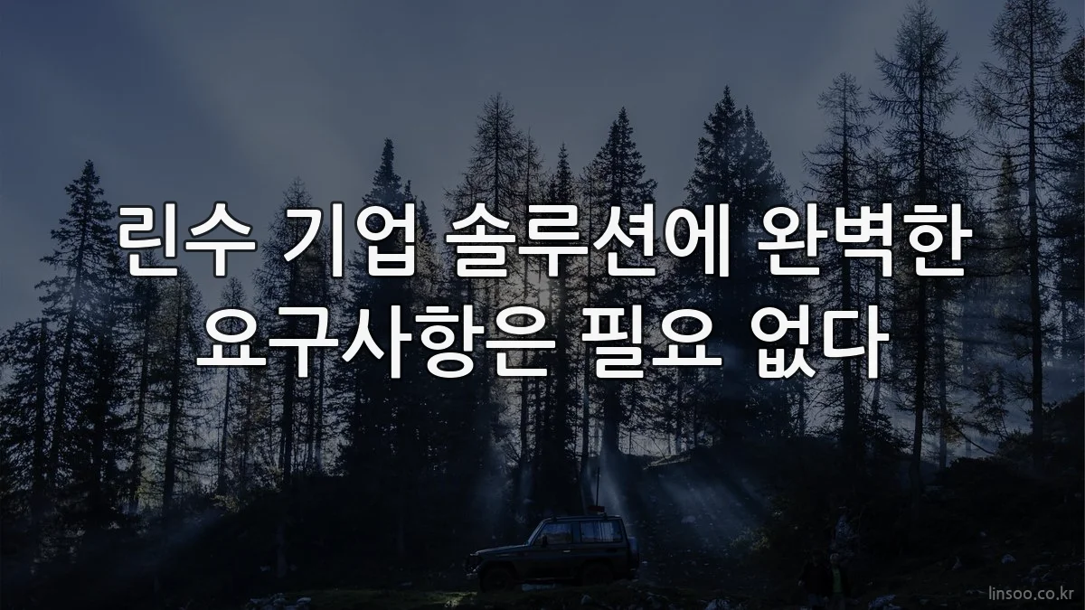 린수 기업 솔루션에 완벽한 요구사항은 필요 없다