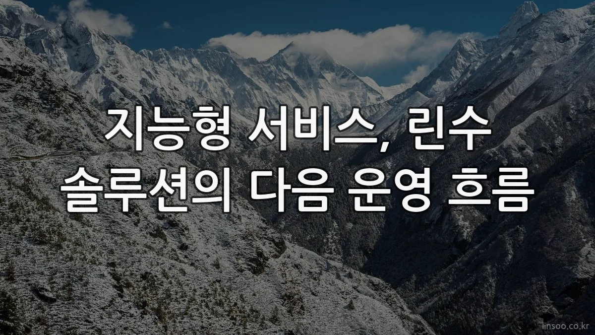 지능형 서비스, 린수 솔루션의 다음 운영 흐름