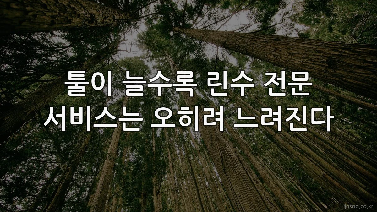 툴이 늘수록 린수 전문 서비스는 오히려 느려진다
