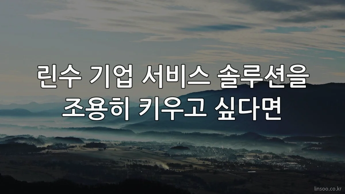 린수 기업 서비스 솔루션을 조용히 키우고 싶다면