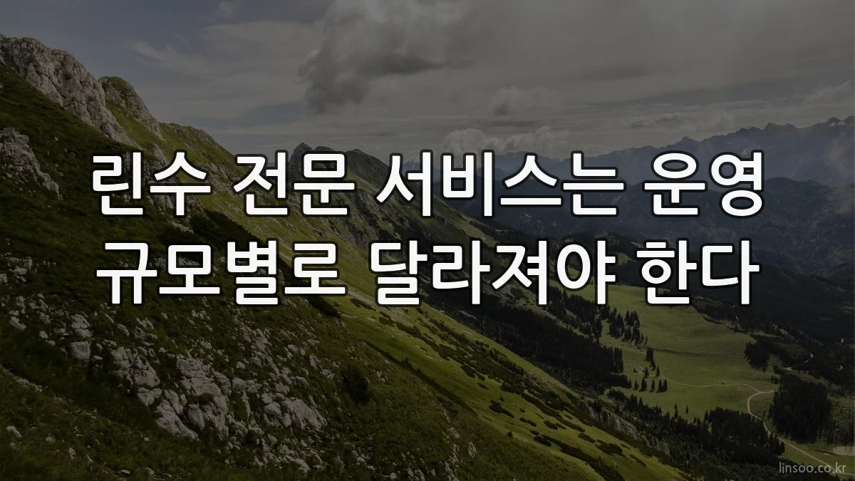 린수 전문 서비스는 운영 규모별로 달라져야 한다