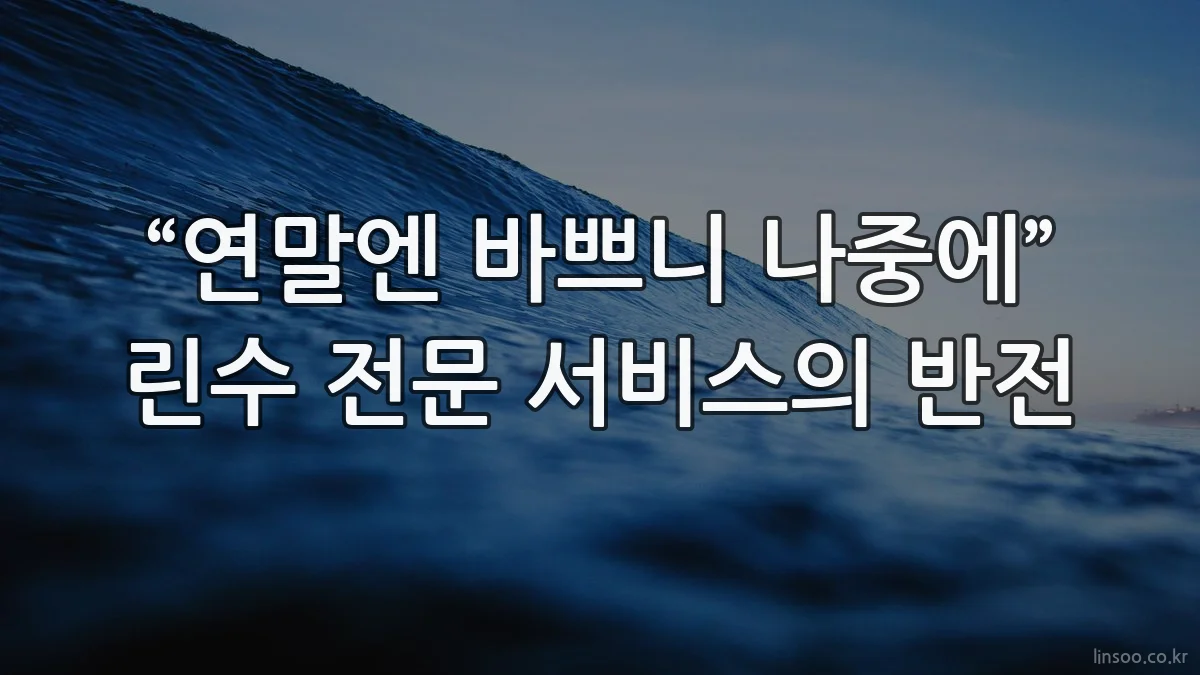 “연말엔 바쁘니 나중에” 린수 전문 서비스의 반전