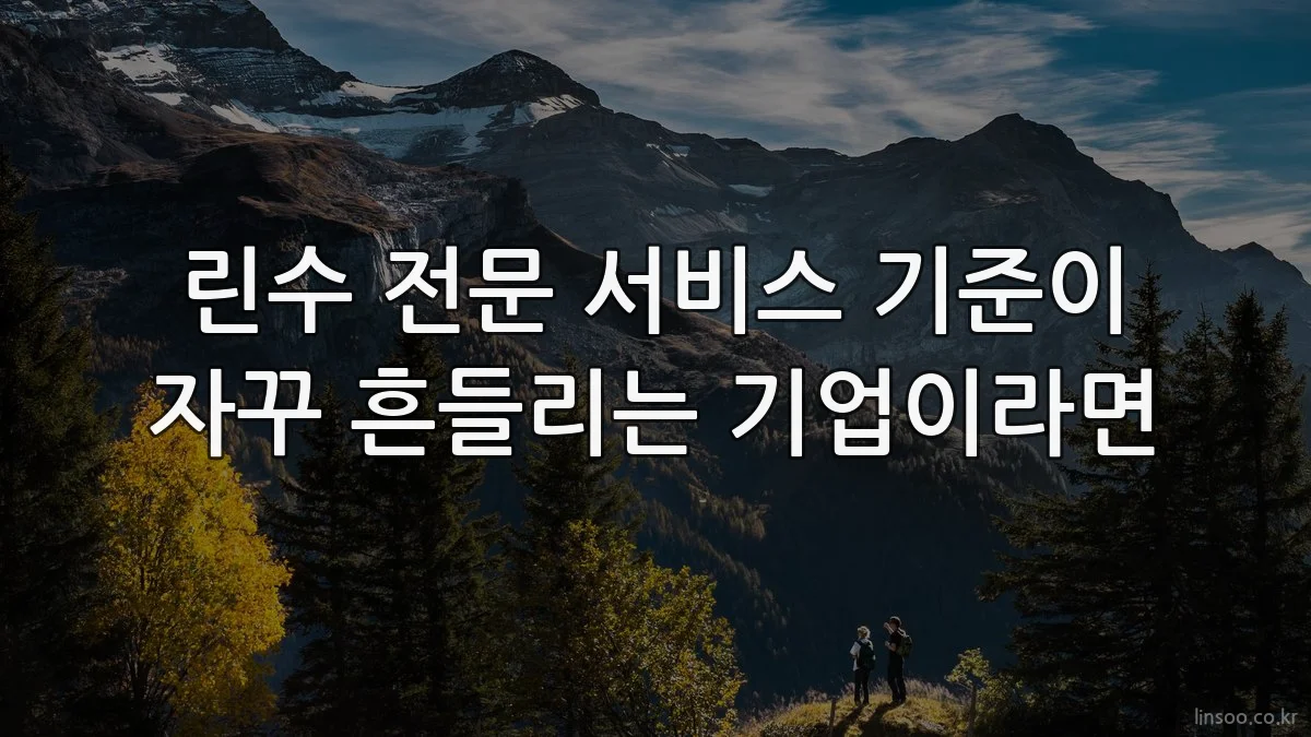 린수 전문 서비스 기준이 자꾸 흔들리는 기업이라면