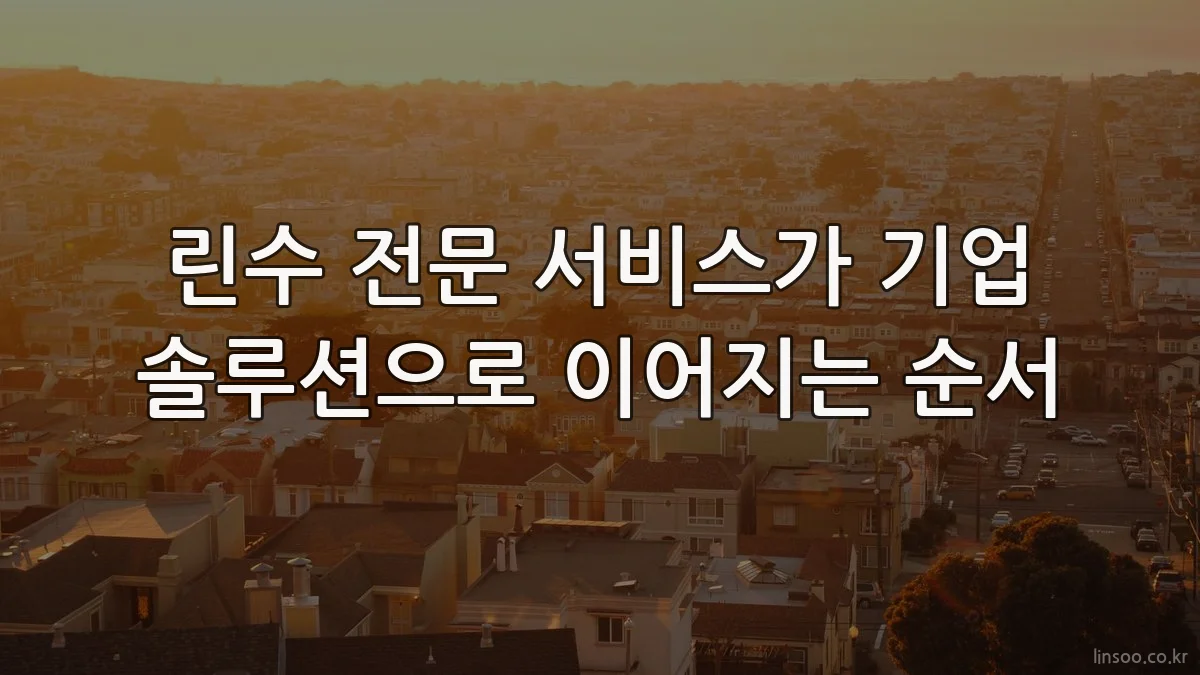 린수 전문 서비스가 기업 솔루션으로 이어지는 순서