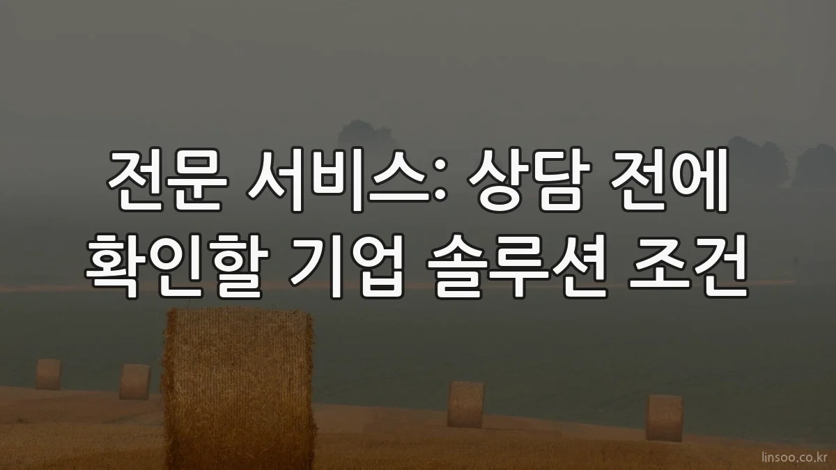 전문 서비스: 상담 전에 확인할 기업 솔루션 조건