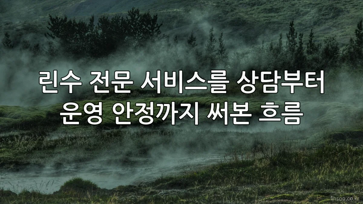 린수 전문 서비스를 상담부터 운영 안정까지 써본 흐름