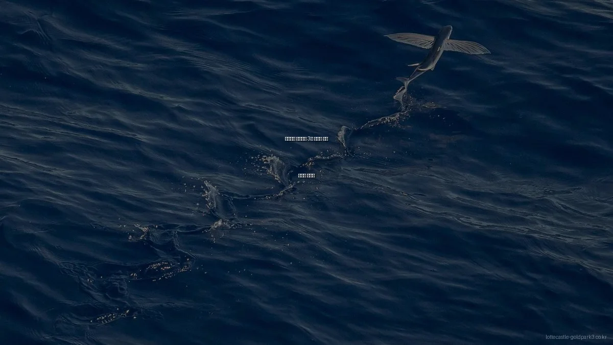 롯데캐슬 골드파크 3차 아파트 분양 초보자 가이드