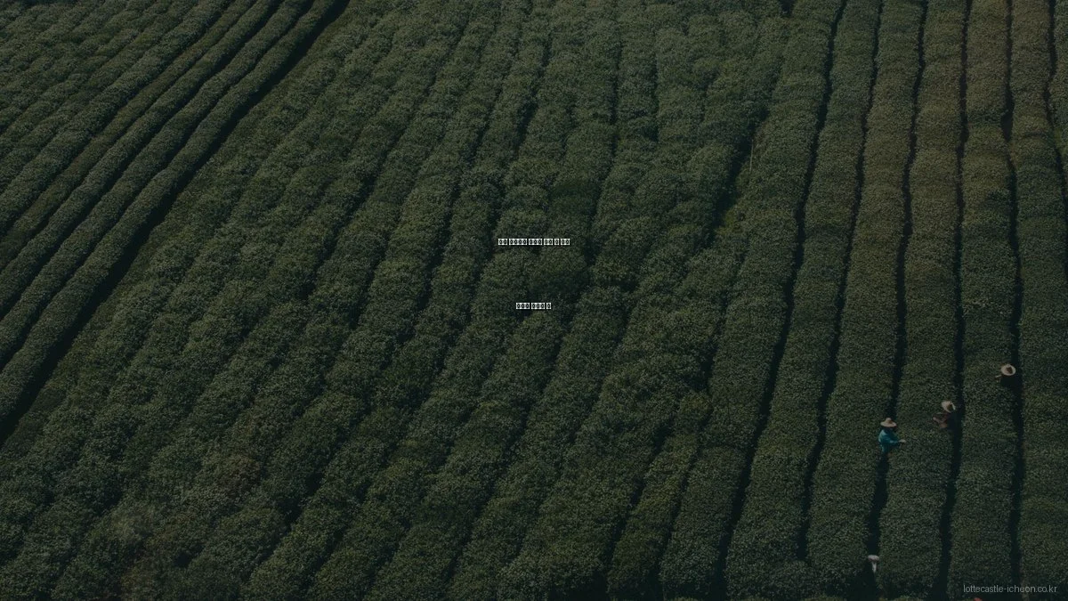 이천 롯데캐슬 아파트 분양 시 흔한 실수와 피하는 법