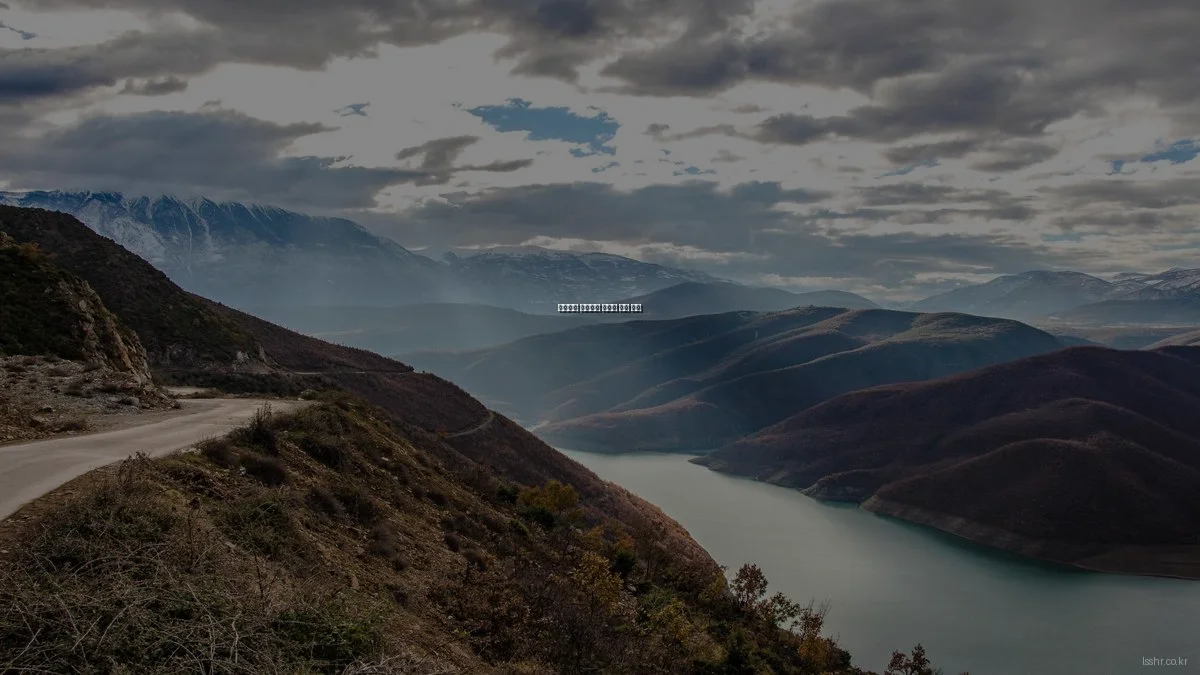 효율적인 인사관리 솔루션 비교 분석