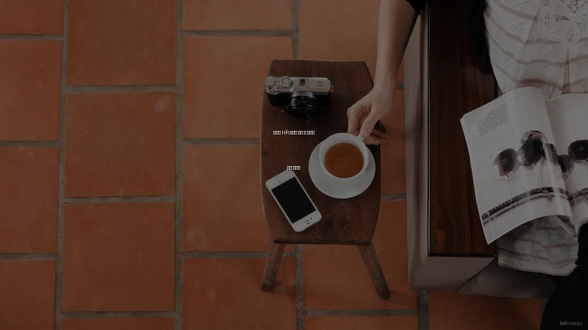 예산별 HR 솔루션 추천 및 가성비 분석 가이드