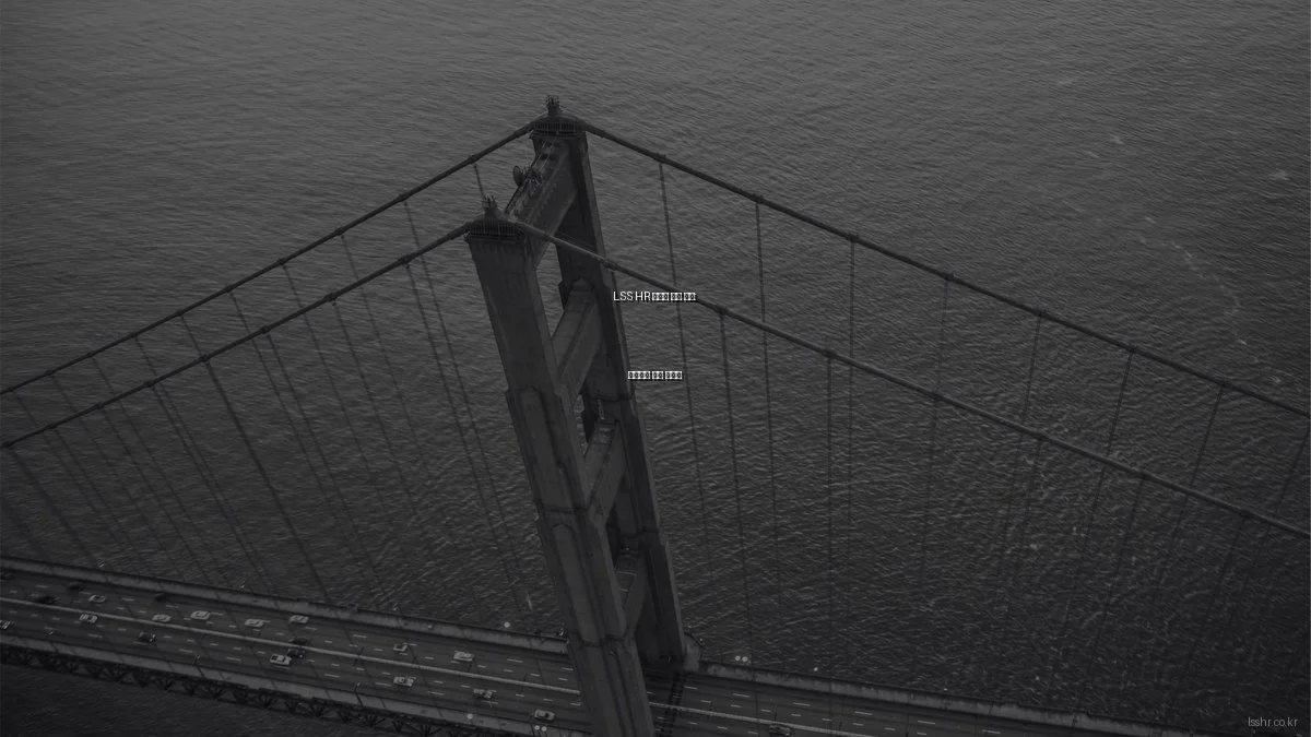 LSS HR 솔루션 사용 후기: 인사관리 혁신 경험담