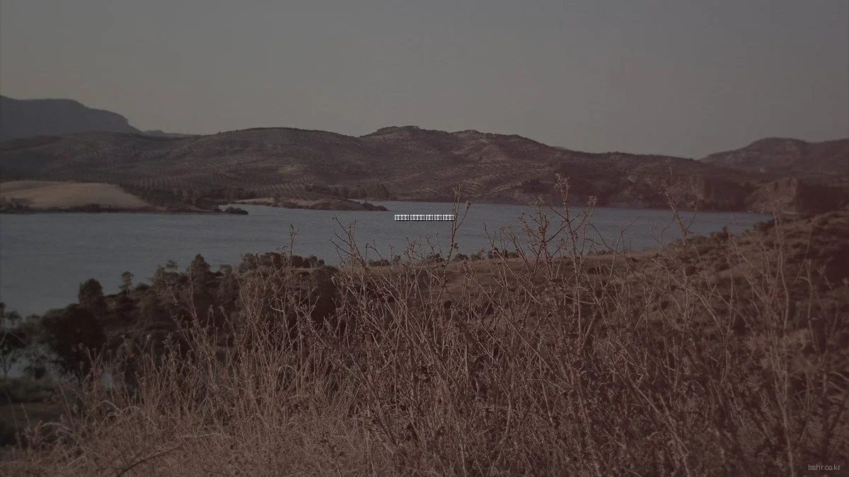 효율적인 인사관리 문제 해결 가이드