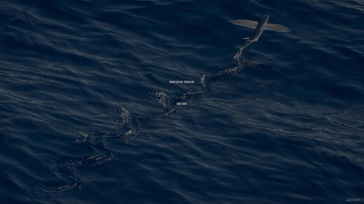 인사관리 실패 사례: '이것만은 하지 마세요' 가이드