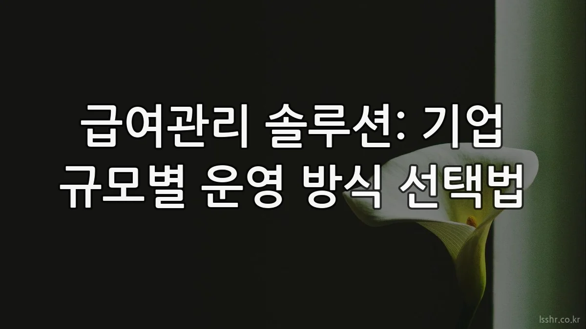 급여관리 솔루션: 기업 규모별 운영 방식 선택법