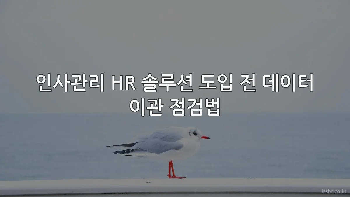 인사관리 HR 솔루션 도입 전 데이터 이관 점검법