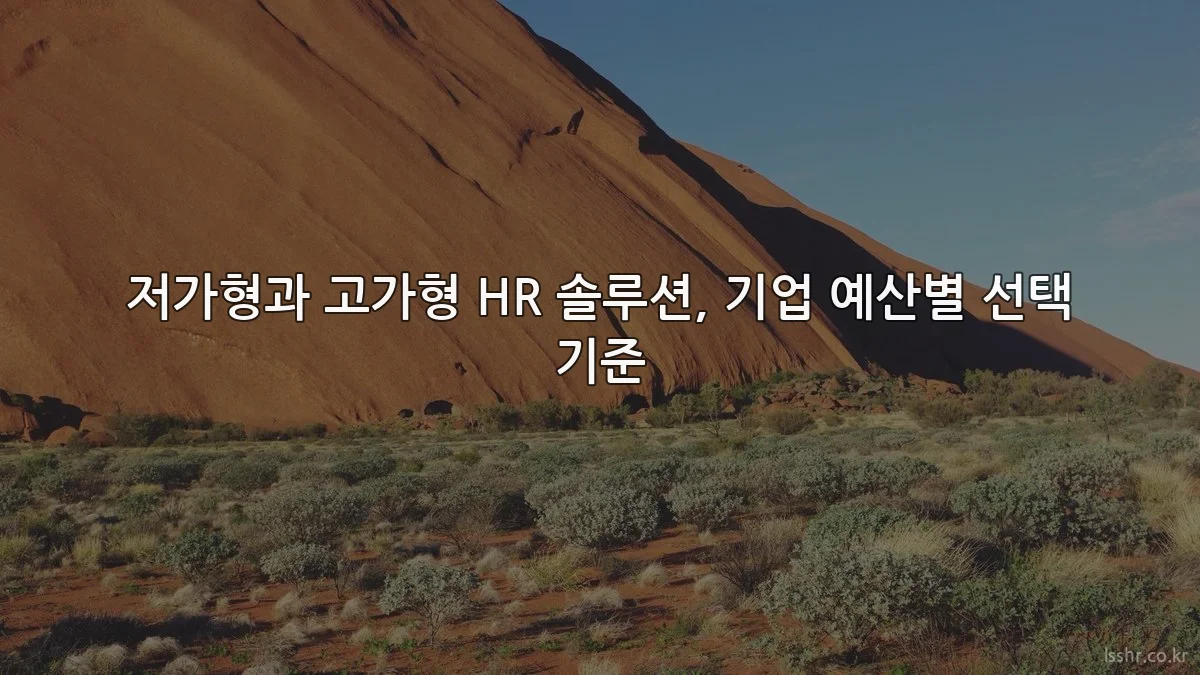 저가형과 고가형 HR 솔루션, 기업 예산별 선택 기준