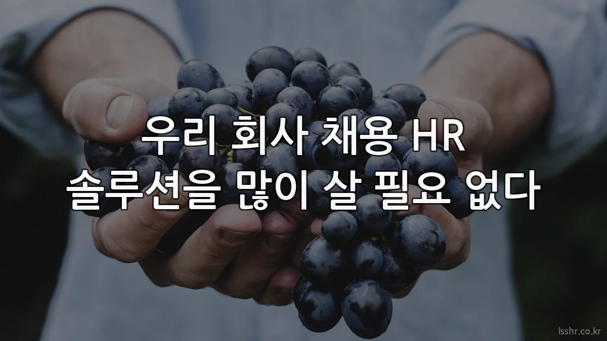 우리 회사 채용 HR 솔루션을 많이 살 필요 없다