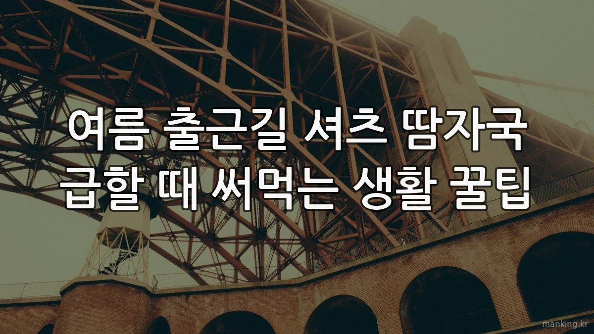 여름 출근길 셔츠 땀자국 급할 때 써먹는 생활 꿀팁