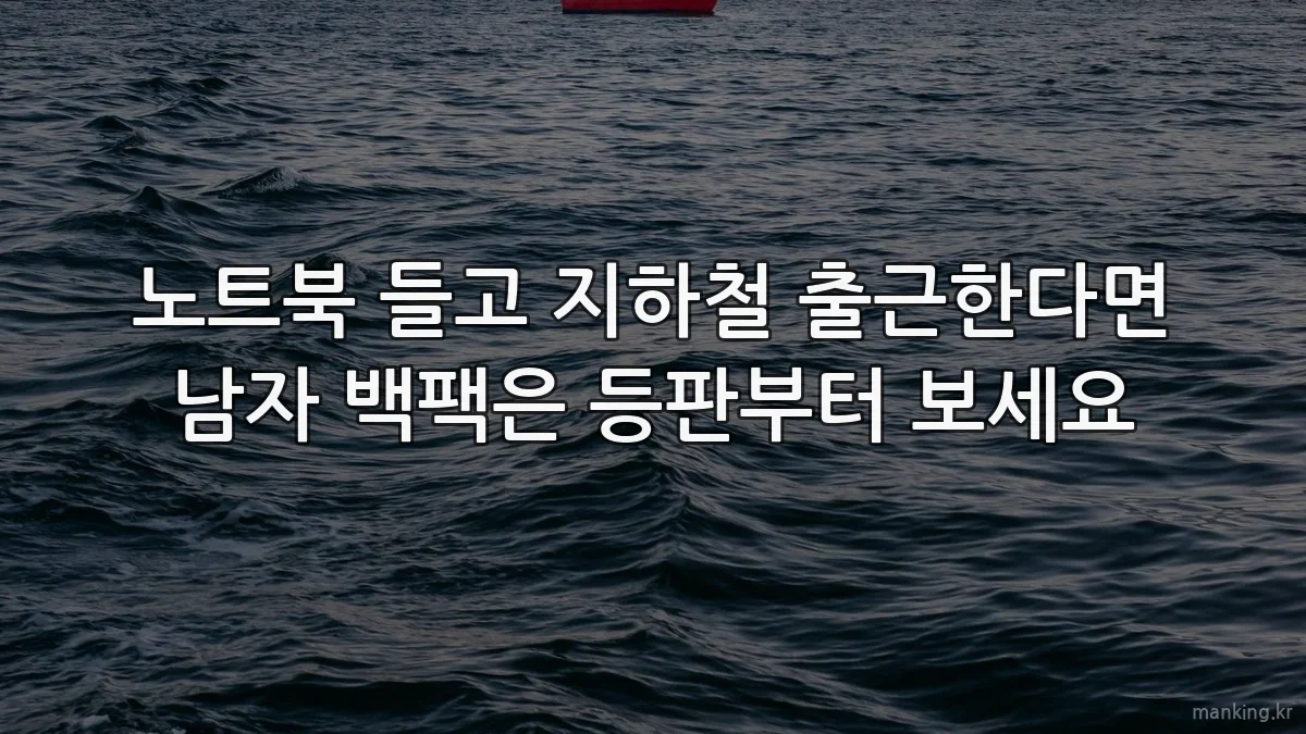 노트북 들고 지하철 출근한다면 남자 백팩은 등판부터 보세요