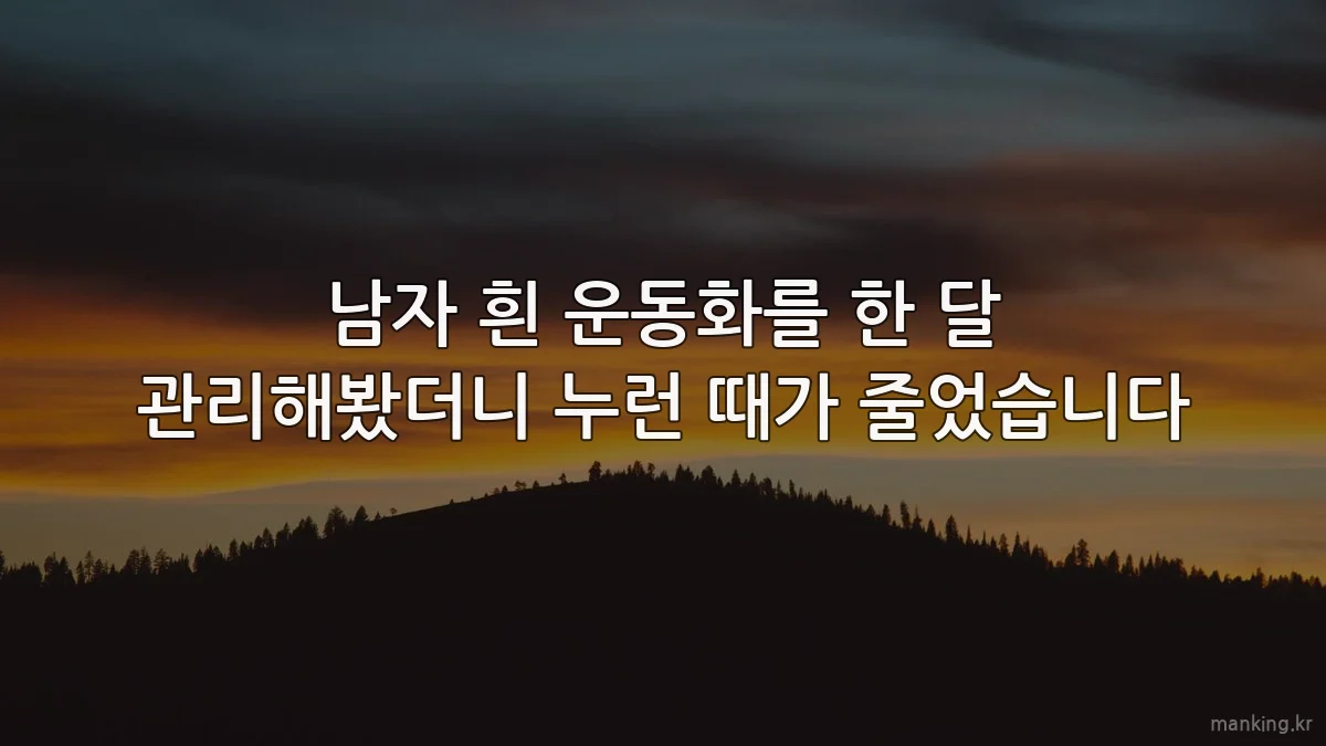 남자 흰 운동화를 한 달 관리해봤더니 누런 때가 줄었습니다