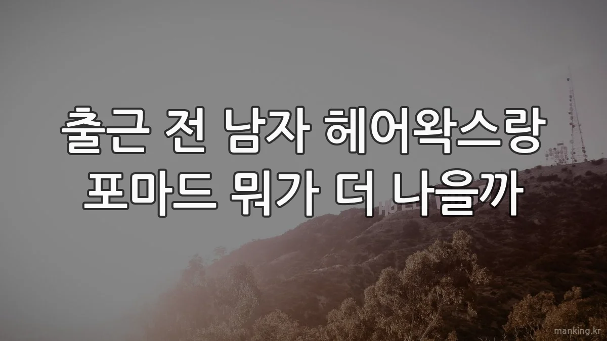 출근 전 남자 헤어왁스랑 포마드 뭐가 더 나을까