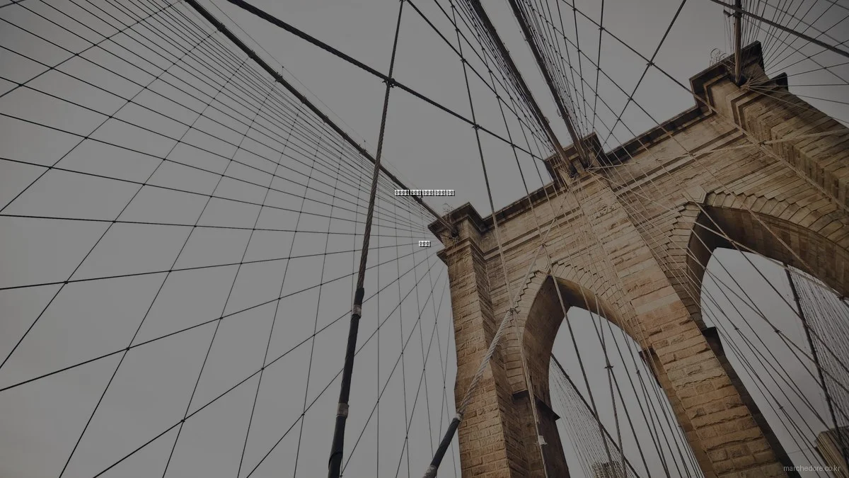 프리미엄 와인과 식품의 완벽한 매칭 가이드