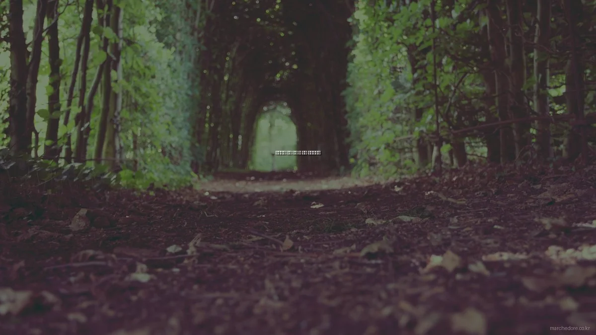 프리미엄 식품 구매 전 필수 체크리스트