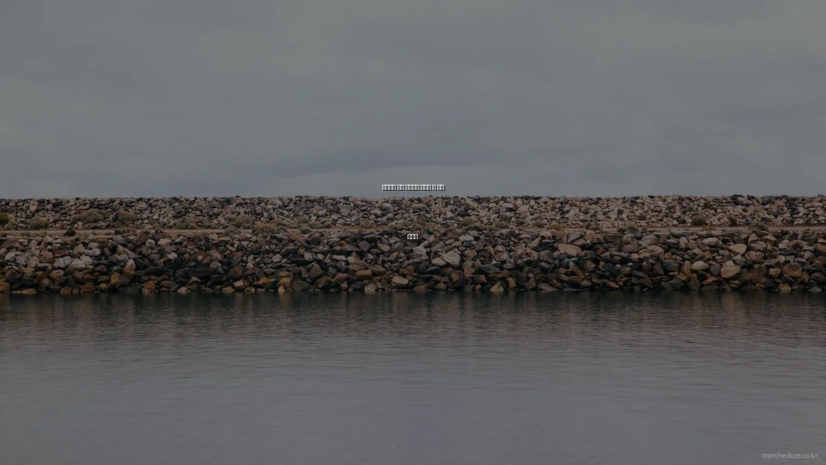 프리미엄 마켓 초보자가 알아야 할 기초 가이드