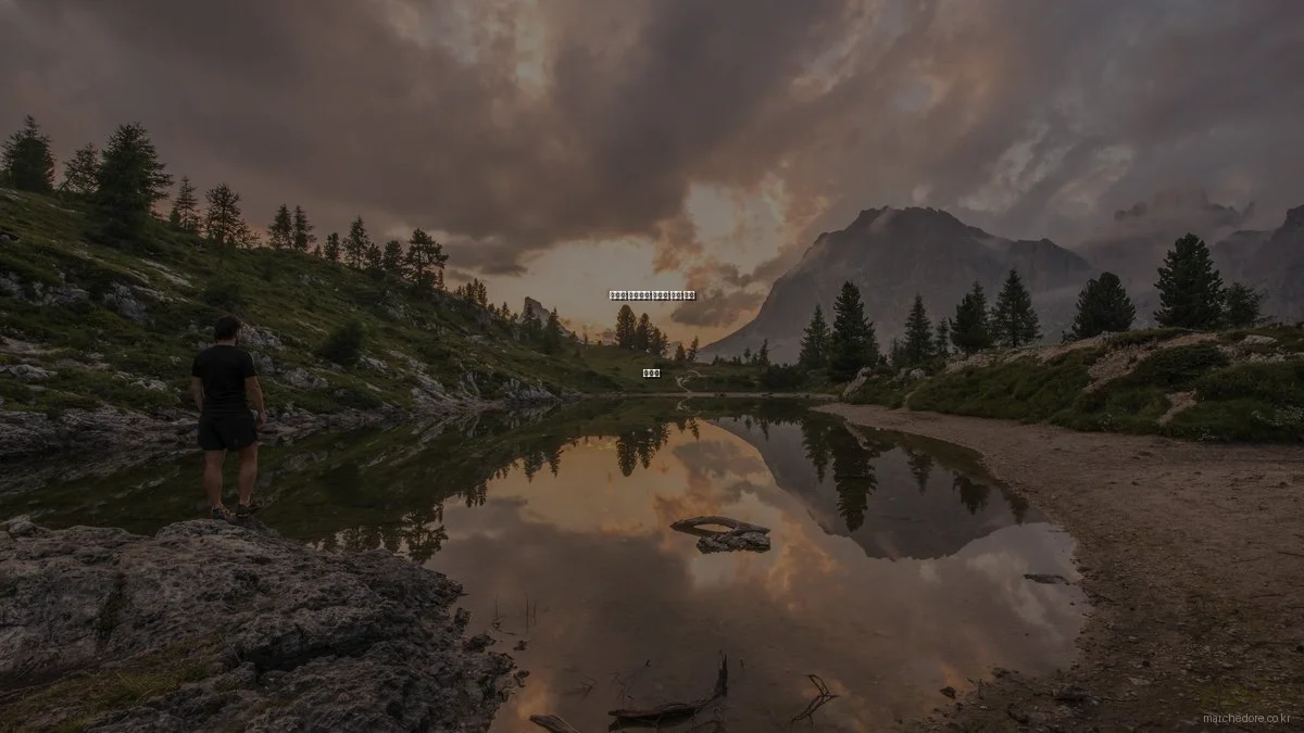 예산별 프리미엄 식품과 와인 추천 가이드