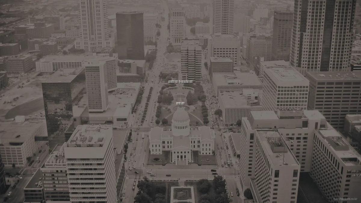 프리미엄 와인 & 델리카트슨 비교 분석과 추천