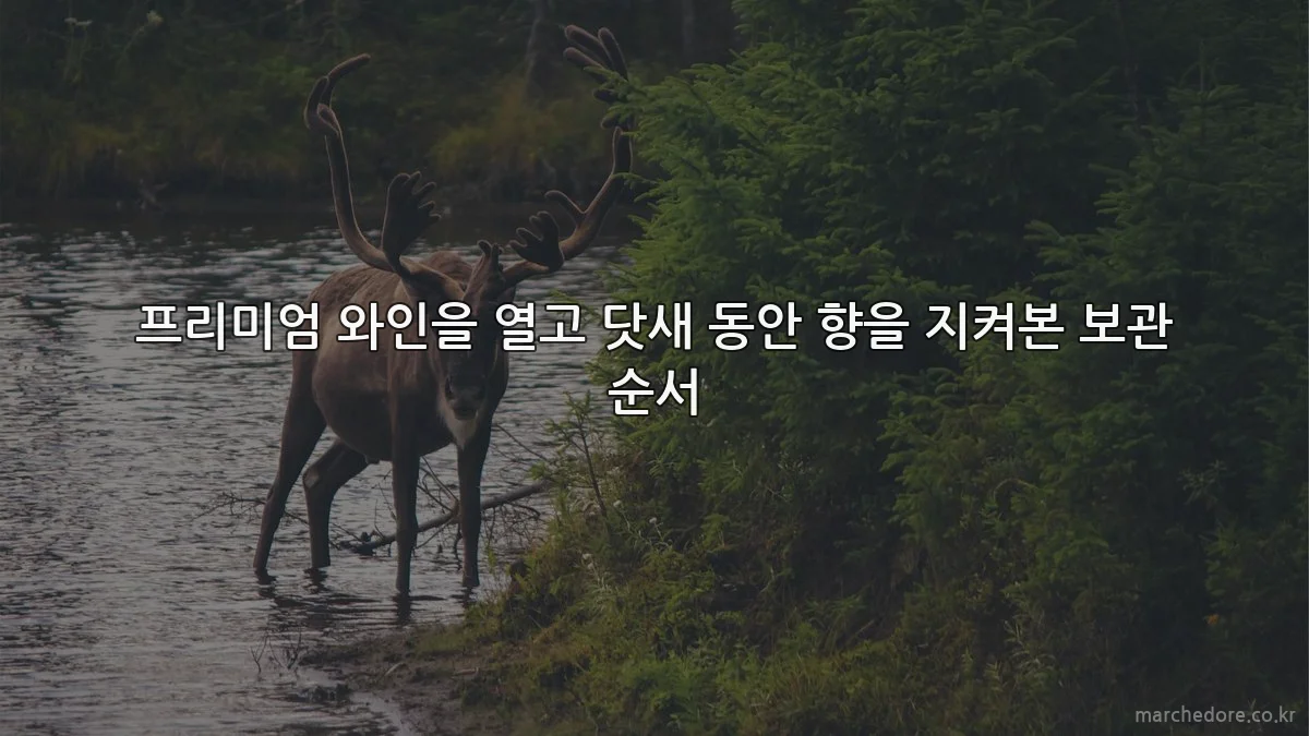 프리미엄 와인을 열고 닷새 동안 향을 지켜본 보관 순서