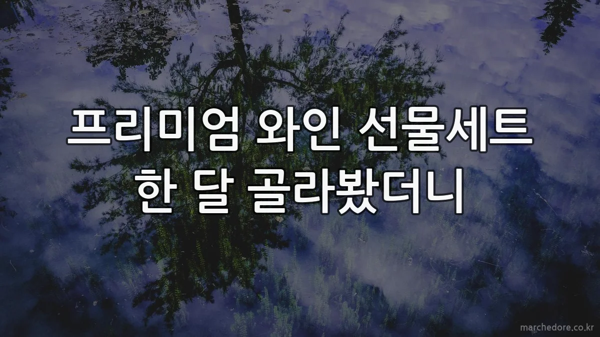 프리미엄 와인 선물세트 한 달 골라봤더니