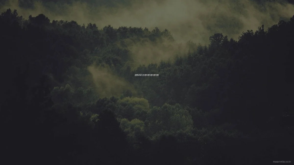 마산MBC와 경남 뉴스 포털 비교 분석