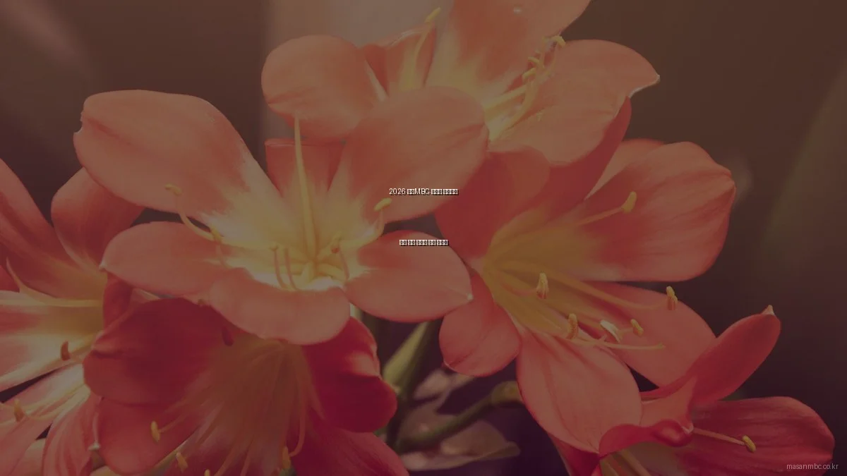 2026 마산MBC 뉴스로 준비하는 경남 여름 나들이 안전 가이드