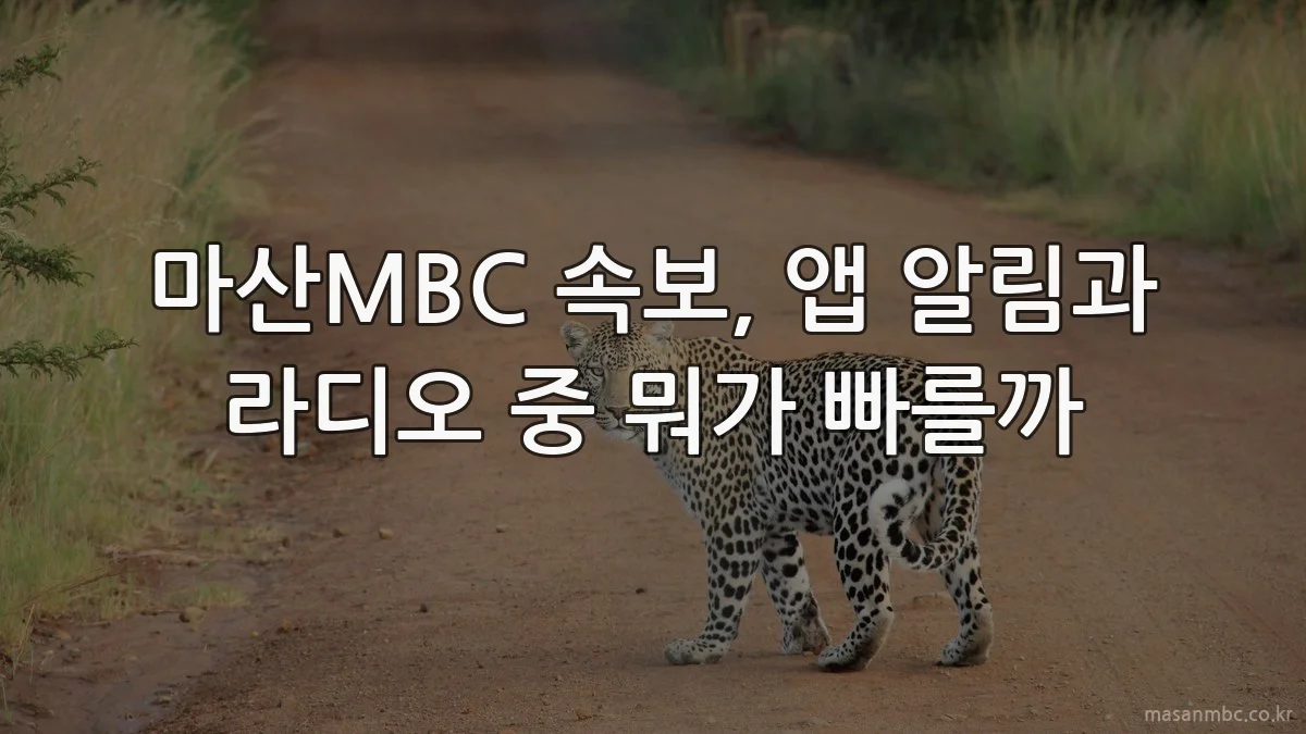 마산MBC 속보, 앱 알림과 라디오 중 뭐가 빠를까