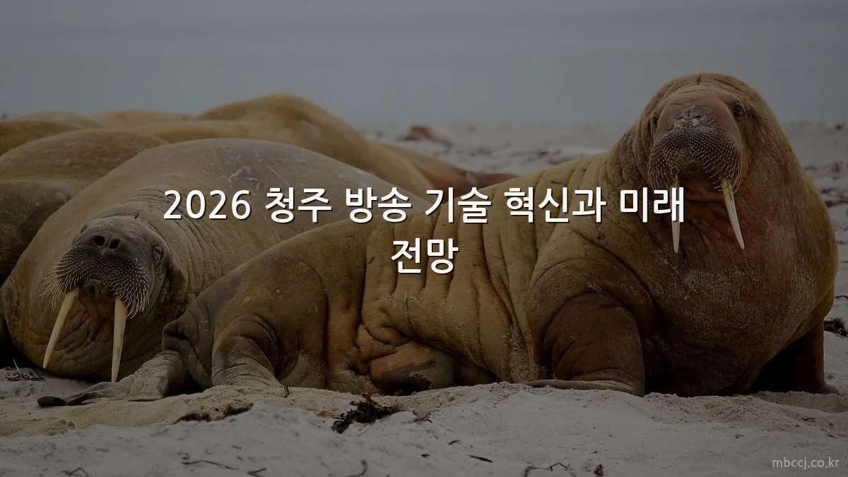 2026 청주 방송 기술 혁신과 미래 전망