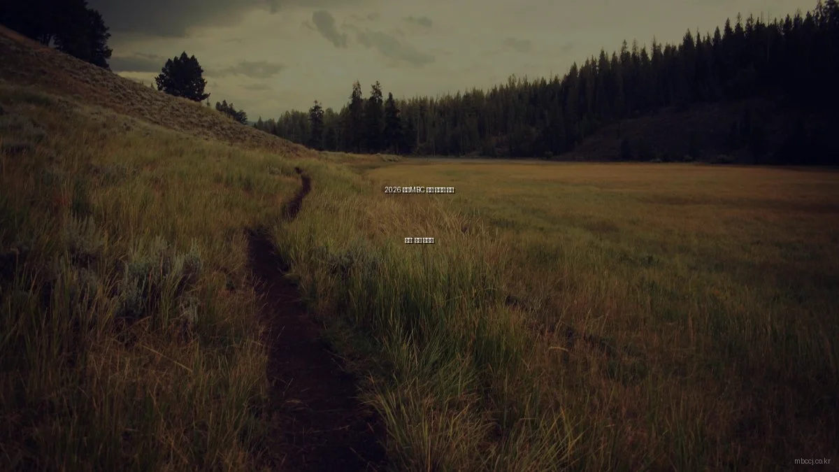 2026 청주MBC 방송 서비스 비교 분석: 선택 가이드