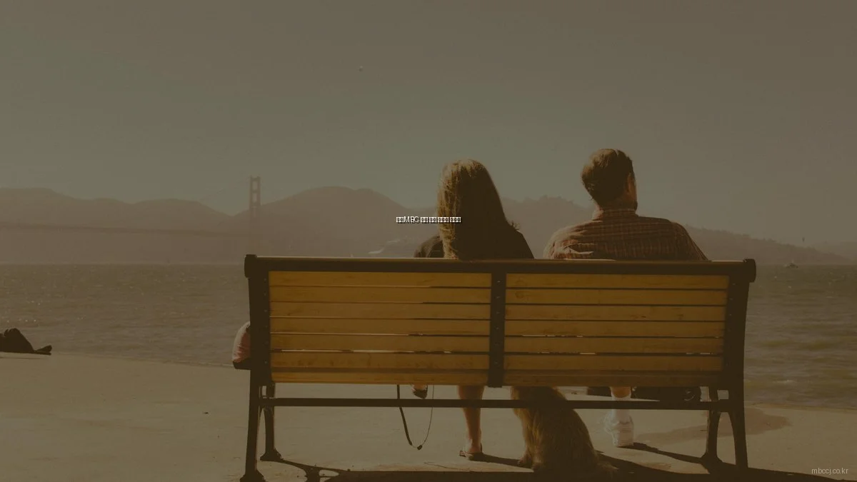 청주MBC 방송 장애 해결법 가이드