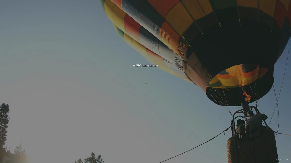 청주MBC 시청이 더 즐거워지는 숨겨진 팁