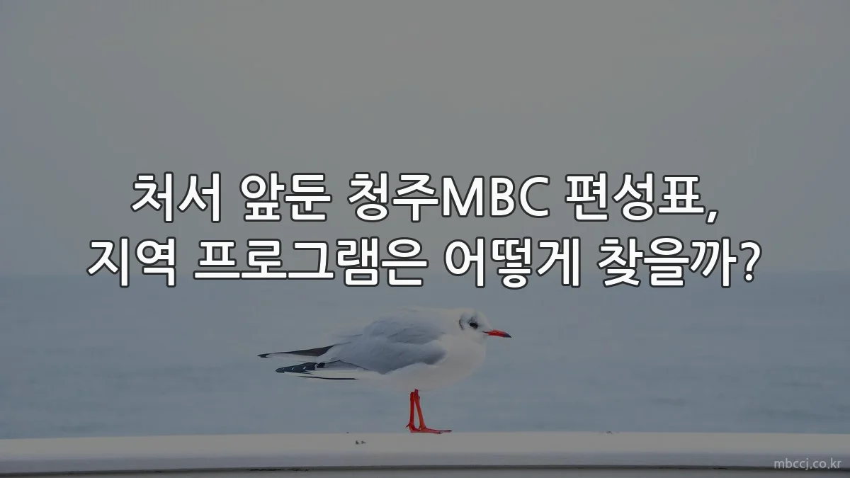 처서 앞둔 청주MBC 편성표, 지역 프로그램은 어떻게 찾을까?