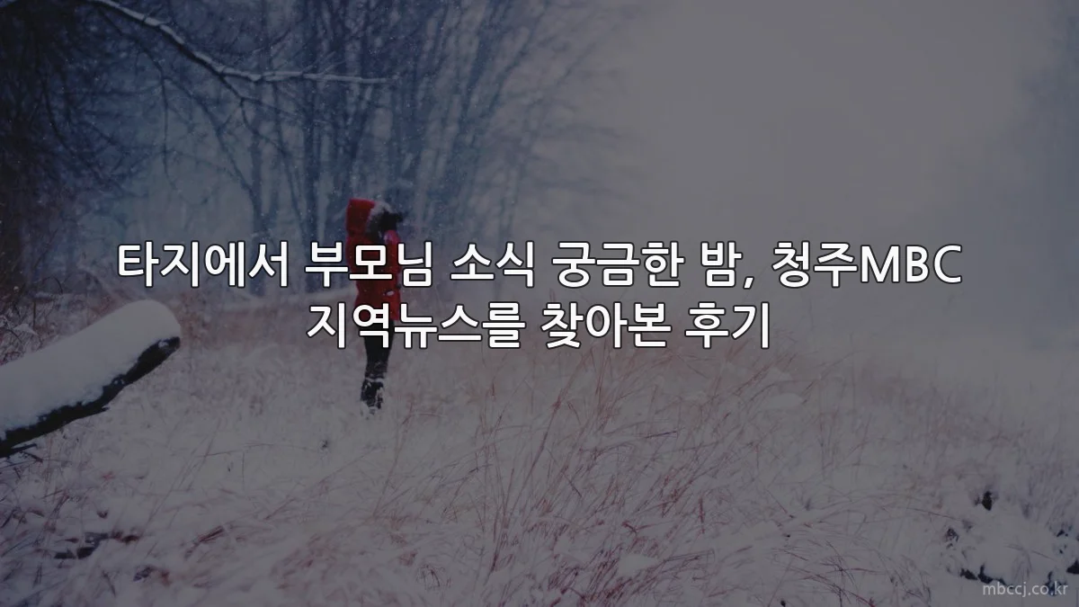 타지에서 부모님 소식 궁금한 밤, 청주MBC 지역뉴스를 찾아본 후기